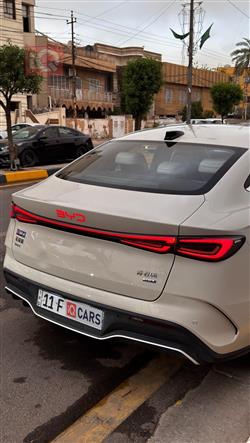 بي واي دي سيل 06 DM-i